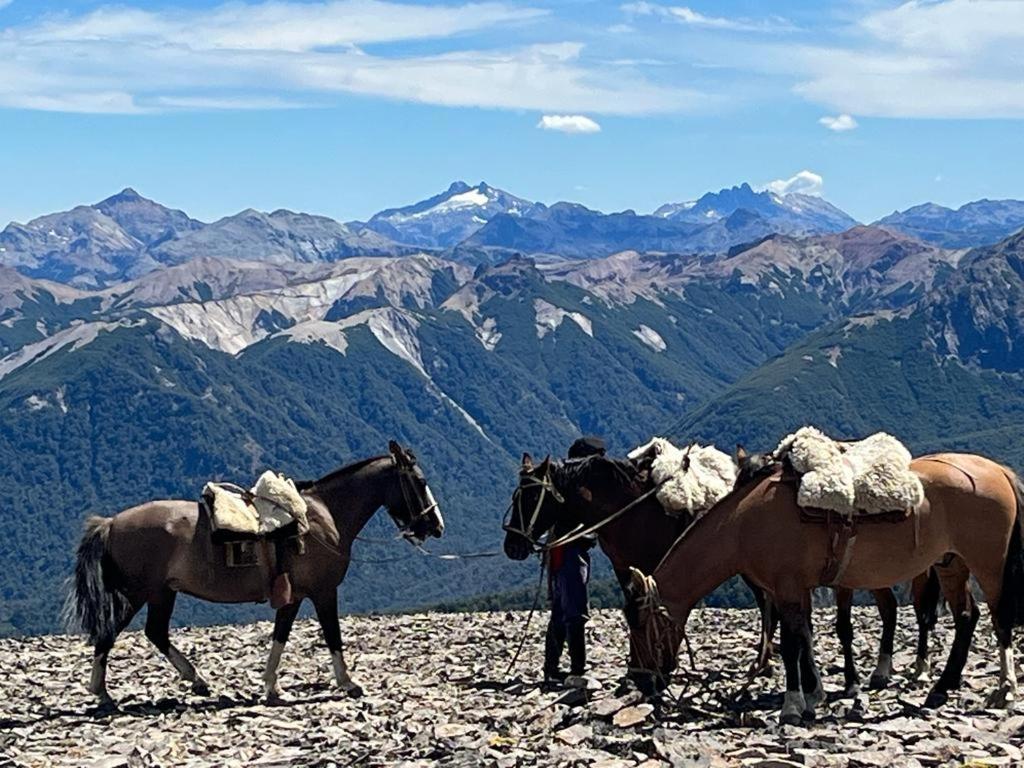 Hermoso Eco Lodge San Martín de los Andes Kültér fotó
